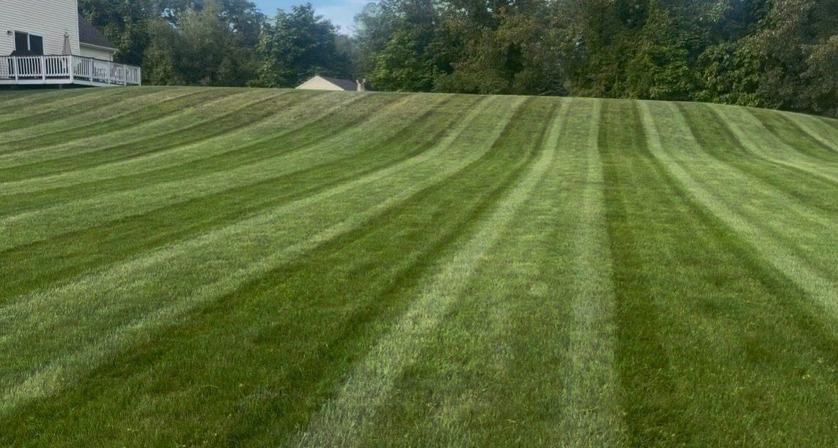Wide lawn cut with clean mowing stripes